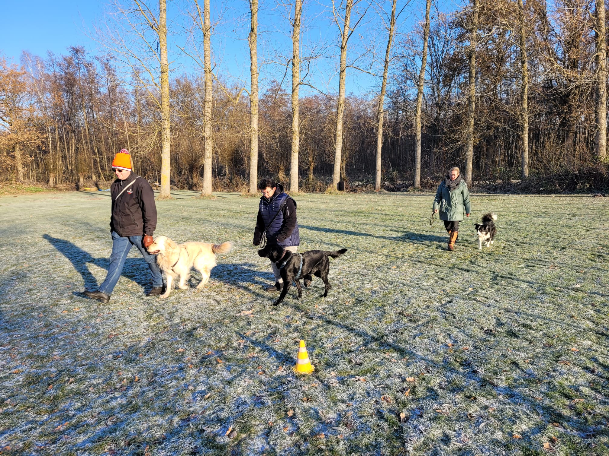 WhatsApp Image 2023-04-03 at 13.50.13